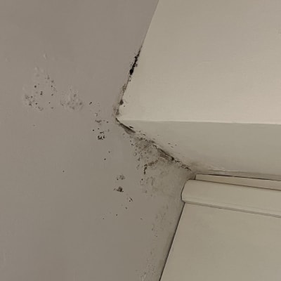 כתמי עובש על קיר לבן בפינת חדר
