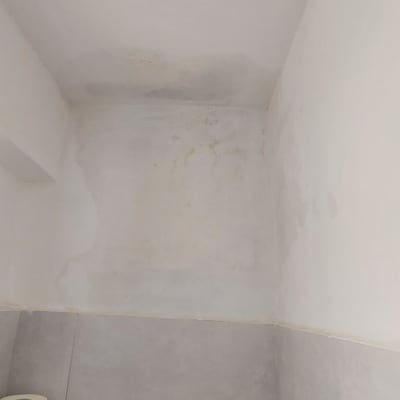 כתם רטיבות על קיר לבן מעל גלילי נייר טואלט