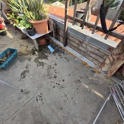 כתמי מים על רצפה ליד עציצים במרפסת