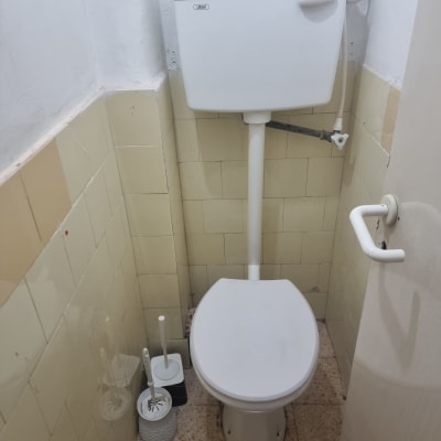 שירותים עם אריחים ישנים ומברשת ניקוי