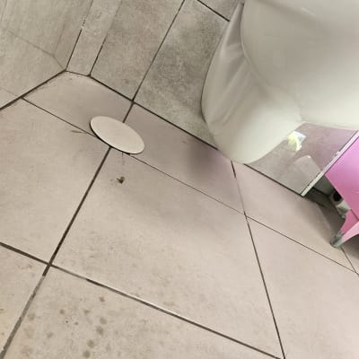אסלה ורצפת אריחים בחדר אמבטיה