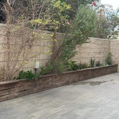 ערוגת עץ עם צמחים ופרחים ליד קיר אבן