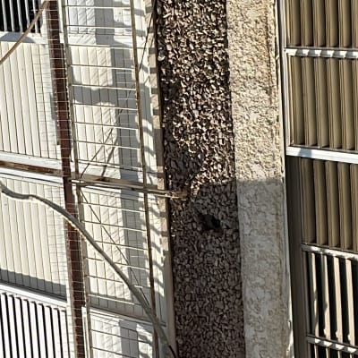 קיר עם רשת מתכת למניעת כניסת יונים