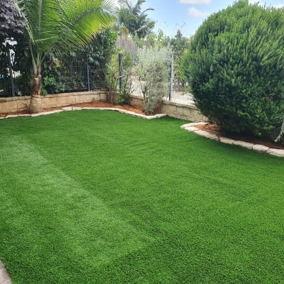 דשא ירוק מוקף בצמחייה ועצים בגינה