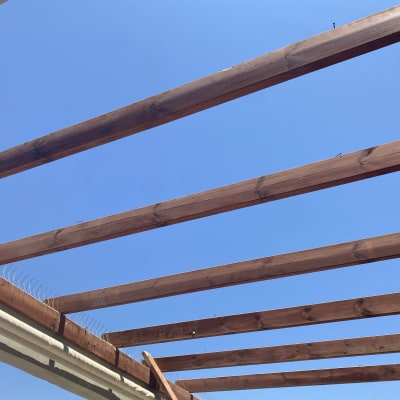 קורות עץ חומות עם מסמרים נגד יונים