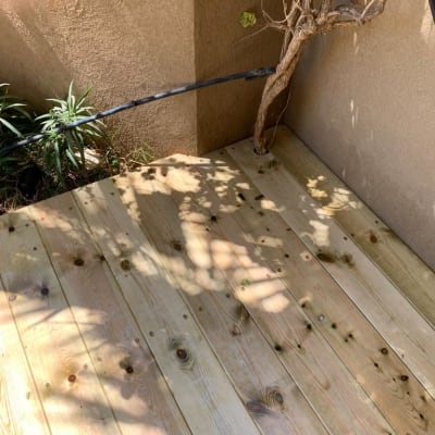 רצפת עץ חדשה עם צמחים בצד