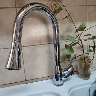 ברז מטבח נירוסטה עם כיור וצמח