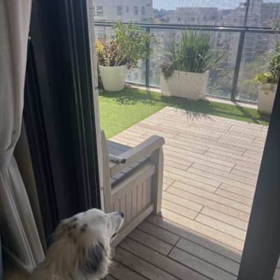 מעקה אלומיניום במרפסת עם עציצים