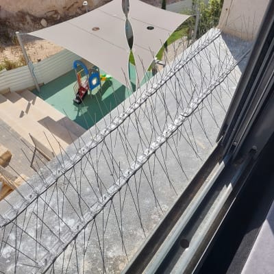 דוקרנים להרחקת יונים על אדן חלון