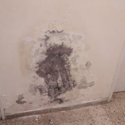 קיר עם כתמי רטיבות ועובש