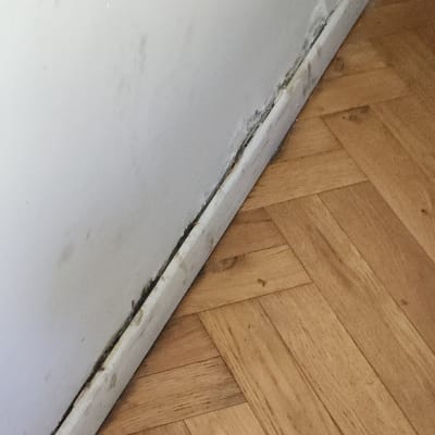 קיר עם סימני רטיבות ועובש ליד הרצפה