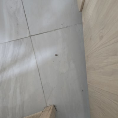 תמונה של חרק על רצפה ליד מדרגות עץ