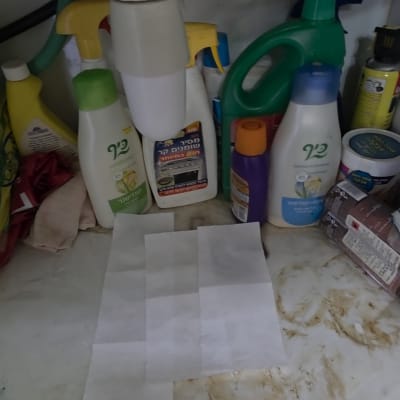 מוצרי ניקוי מתחת לכיור במטבח