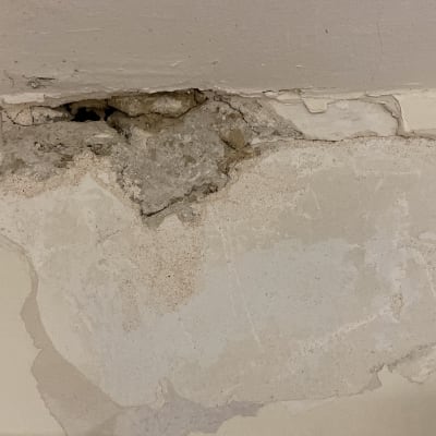 קיר עם קילופי צבע ונזקי רטיבות