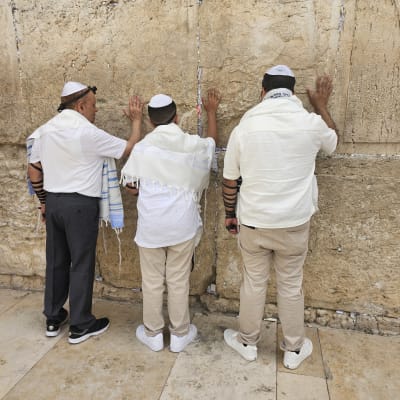 שלושה אנשים מתפללים מול קיר אבן עם תפילין