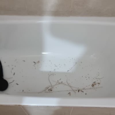 אמבטיה עם לכלוך וצינור מקלחת שחור