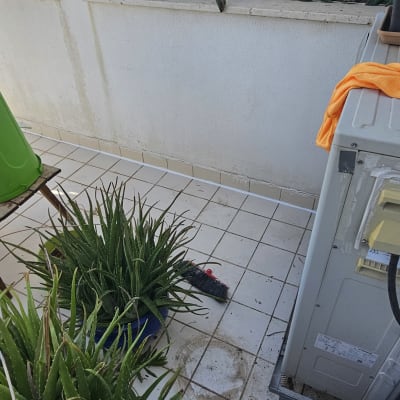 מרפסת מרוצפת עם עציצים ויחידת מזגן חיצונית