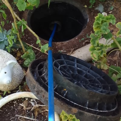 צינור כחול נכנס לפתח ביוב בגינה