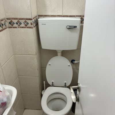 אסלה עם מיכל הדחה ומברשת ניקוי