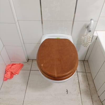 אסלה עם מושב עץ ומקלחת יד