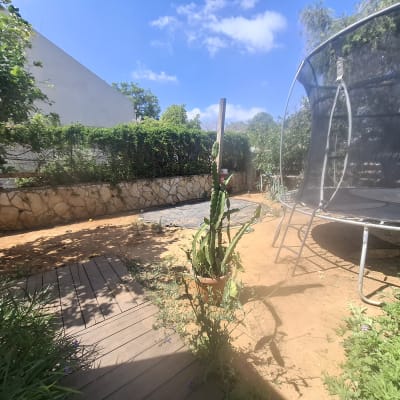 חצר עם טרמפולינה וצמחייה ירוקה