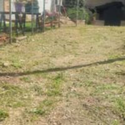 שטח גינה עם דשא קצוץ וגדרות