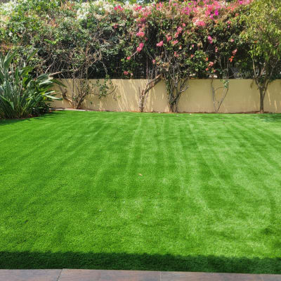 דשא ירוק עם צמחים ופרחים בגינה