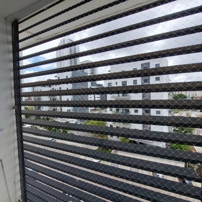 רשת מתכת על חלון למניעת כניסת יונים