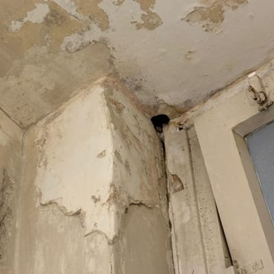 קיר מתקלף עם סימני רטיבות ותיקונים נדרשים