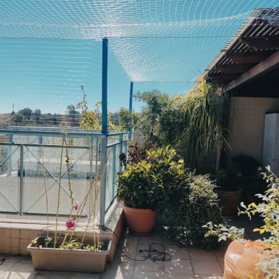 רשת נגד יונים מותקנת על מרפסת עם צמחים