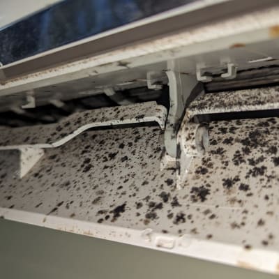 תקריב של מזגן עם עובש שחור על הפלסטיק הפנימי