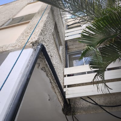 בניין עם צינורות חיצוניים ועץ דקל