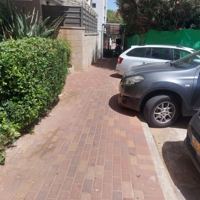 שיחים ירוקים וגדר חיה לצד שביל מרוצף