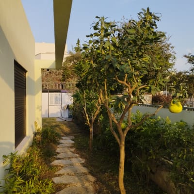 שביל גינה עם עצים ושיחים