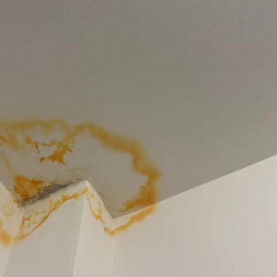 כתם רטיבות על תקרה לבנה