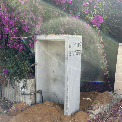 מבנה בטון ליד פרחים סגולים ואדמה