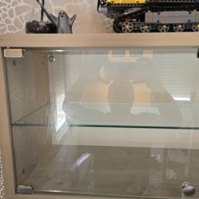 ארון זכוכית עם מדף זכוכית ודלתות זכוכית