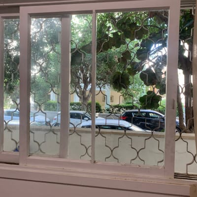 חלון זכוכית עם סורגי מתכת ועצים ברקע