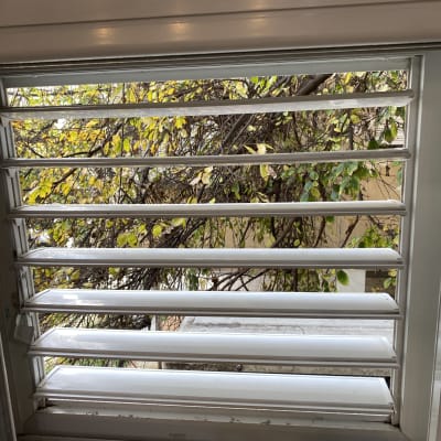 תריסים נקיים עם עלים ברקע