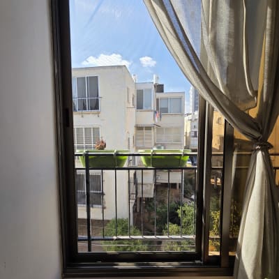 תמונה אינה מציגה עבודה בתחום