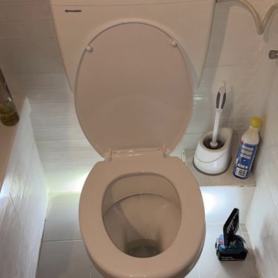 אסלה עם מברשת ניקוי וחומרי ניקוי