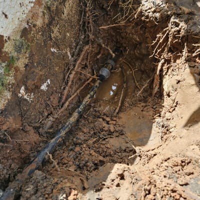 צינור מים שבור באדמה עם בוץ ושרשים