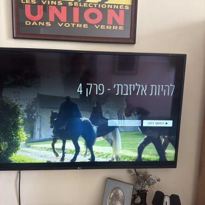 תמונה של טלוויזיה עם סצנה של סוסים, אין קשר לעבודות ידיים.