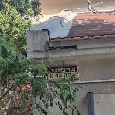 גג עם חומרי איטום וצמחייה מסביב