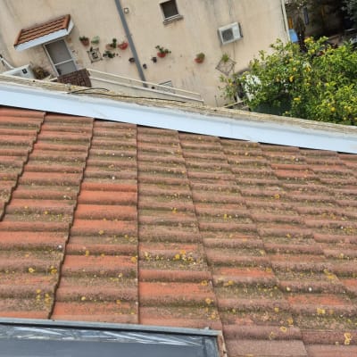 גג רעפים אדומים עם כתמים צהובים וירוקים