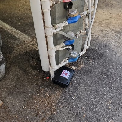 קופסת הדברה שחורה ליד צינורות מים