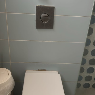 אסלה עם לחצן הדחה וקיר אריחים
