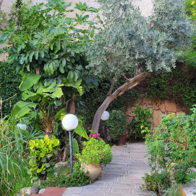 שביל גינה עם עצים, שיחים ועציצים