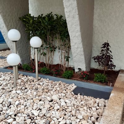 צמחים ירוקים ופרחים באדמה לצד חלוקי נחל