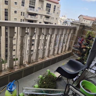 מרפסת עם עציצים וכלי גינון